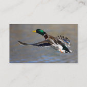 Visite profil ou carte de visite, canard (Dos)