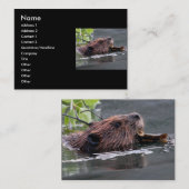 Visite profil ou carte de visite, castor (Devant / Derrière)