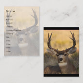 Visite profil ou carte de visite, cerf commun (Devant / Derrière)