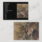 Visite profil ou carte de visite, cerf commun (Devant / Derrière)