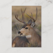 Visite profil ou carte de visite, cerf commun (Dos)