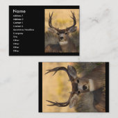 Visite profil ou carte de visite, cerf commun (Devant / Derrière)