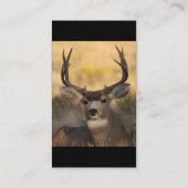 Visite profil ou carte de visite, cerf commun (Dos)