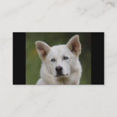 Visite profil ou carte de visite, chien (Dos)