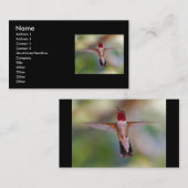 Visite profil ou carte de visite, colibri (Devant / Derrière)