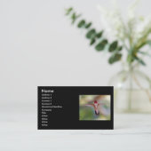 Visite profil ou carte de visite, colibri (Debout devant)