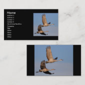 Visite profil ou carte de visite, couple de grue (Devant / Derrière)