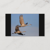 Visite profil ou carte de visite, couple de grue (Dos)