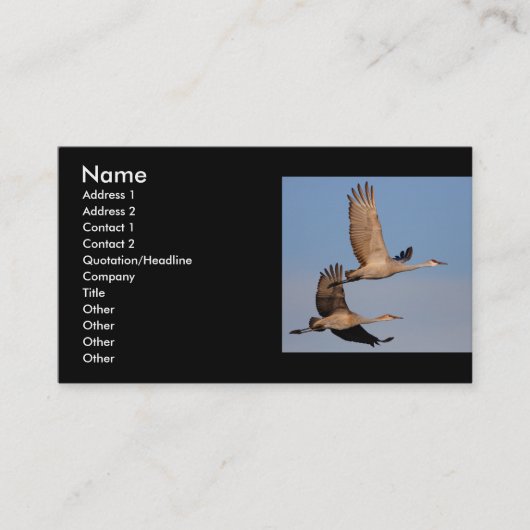 Visite profil ou carte de visite, couple de grue (Devant)