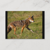 Visite profil ou carte de visite, coyote (Dos)