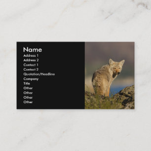 Visite profil ou carte de visite, coyote