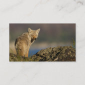 Visite profil ou carte de visite, coyote (Dos)