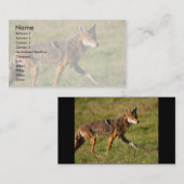 Visite profil ou carte de visite, coyote (Devant / Derrière)