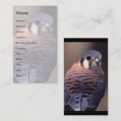 Visite profil ou carte de visite, crécerelle (Devant / Derrière)