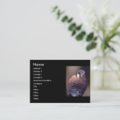 Visite profil ou carte de visite, crécerelle (Debout devant)