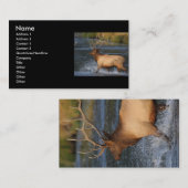 Visite profil ou carte de visite, éclaboussure d'élans (Devant / Derrière)