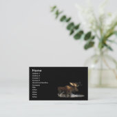 Visite profil ou carte de visite, éclaboussure d'orignaux (Debout devant)