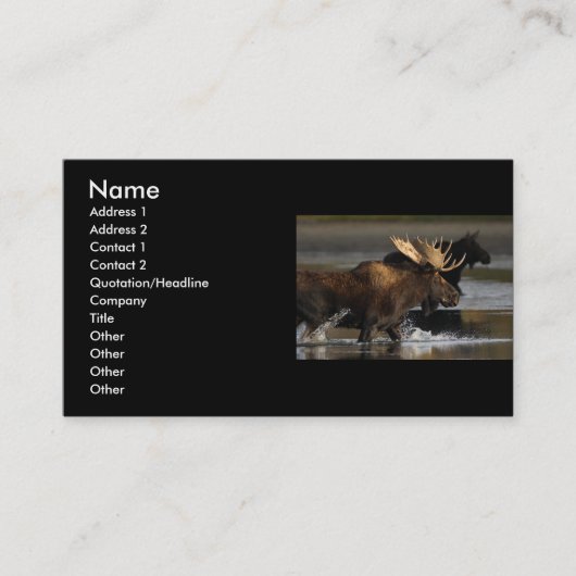 Visite profil ou carte de visite, éclaboussure d'orignaux (Devant)