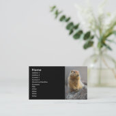 Visite profil ou carte de visite, écureuil (Debout devant)