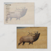 Visite profil ou carte de visite, élan (Devant / Derrière)