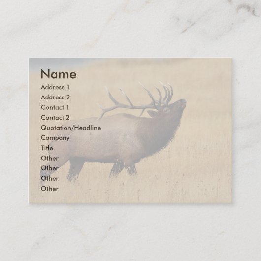 Visite profil ou carte de visite, élan (Devant)