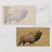 Visite profil ou carte de visite, élan (Devant / Derrière)