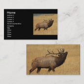 Visite profil ou carte de visite, élan (Devant / Derrière)