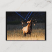 Visite profil ou carte de visite, élan (Dos)