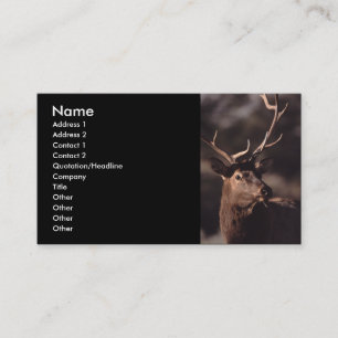 Visite profil ou carte de visite, élan