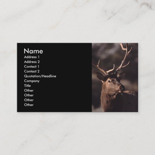 Visite profil ou carte de visite, élan (Devant)