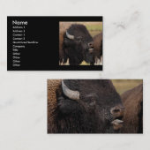 Visite profil ou carte de visite, grognement de bison (Devant / Derrière)