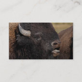 Visite profil ou carte de visite, grognement de bison (Dos)