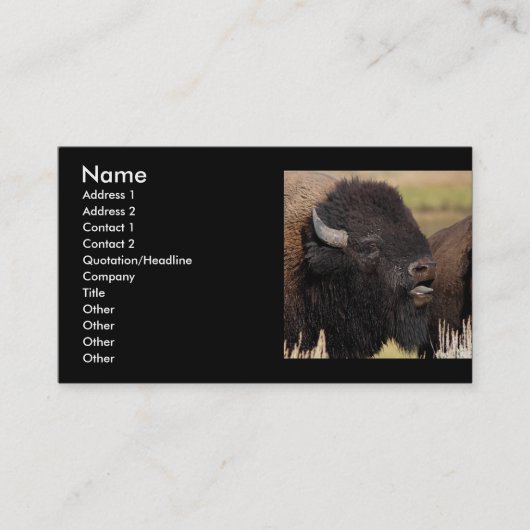 Visite profil ou carte de visite, grognement de bison (Devant)