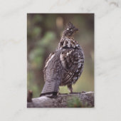 Visite profil ou carte de visite, grouse (Dos)