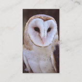 Visite profil ou carte de visite, hibou (Dos)