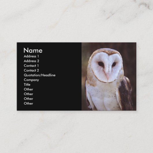 Visite profil ou carte de visite, hibou (Devant)