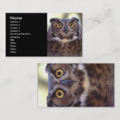 Visite profil ou carte de visite, hibou (Devant / Derrière)