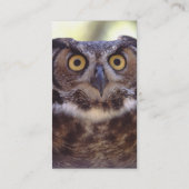 Visite profil ou carte de visite, hibou (Dos)