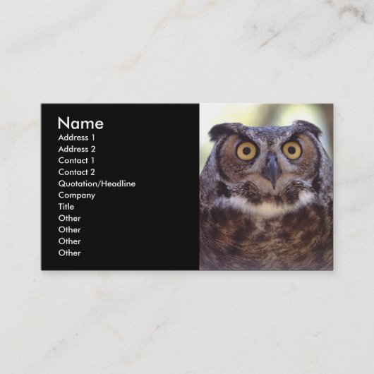 Visite profil ou carte de visite, hibou (Devant)
