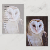 Visite profil ou carte de visite, hibou (Devant / Derrière)