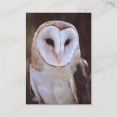 Visite profil ou carte de visite, hibou (Dos)