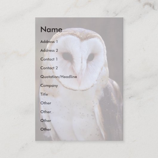 Visite profil ou carte de visite, hibou (Devant)