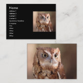 Visite profil ou carte de visite, hibou (Devant / Derrière)