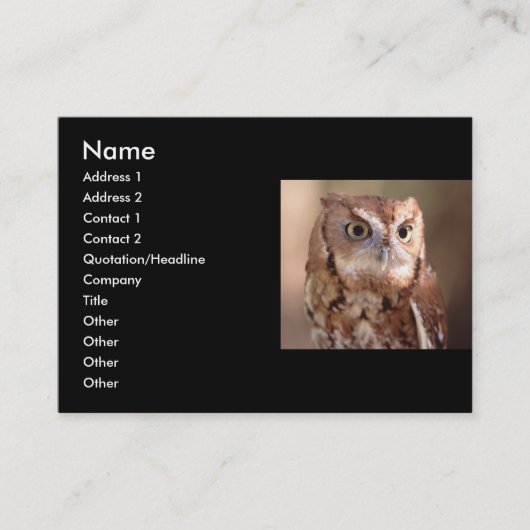 Visite profil ou carte de visite, hibou (Devant)