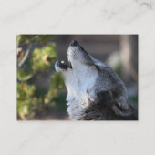 Visite profil ou carte de visite, loup (Dos)