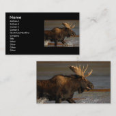 Visite profil ou carte de visite, orignal (Devant / Derrière)