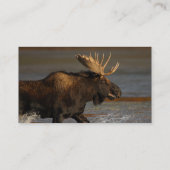 Visite profil ou carte de visite, orignal (Dos)