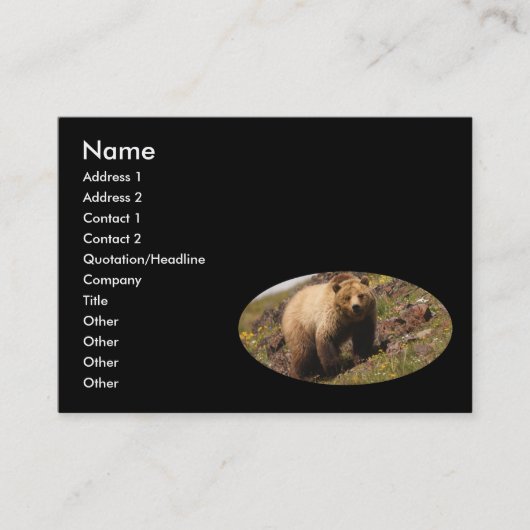 Visite profil ou carte de visite, ours gris (Devant)
