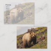 Visite profil ou carte de visite, ours gris (Devant / Derrière)