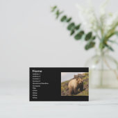 Visite profil ou carte de visite, ours gris (Debout devant)